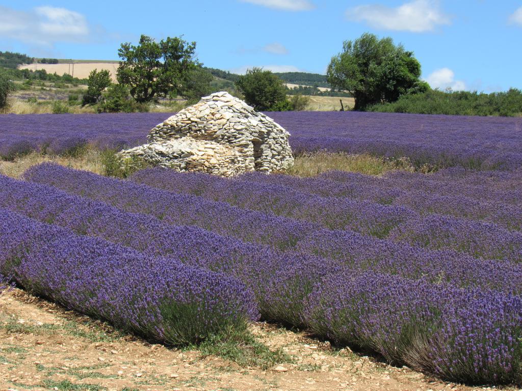 Résidence de gîtes La Sidoine du Mont-Ventoux Crillon-le-Brave Exterior foto